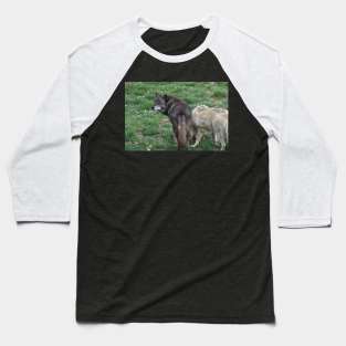 Wolves Baseball T-Shirt